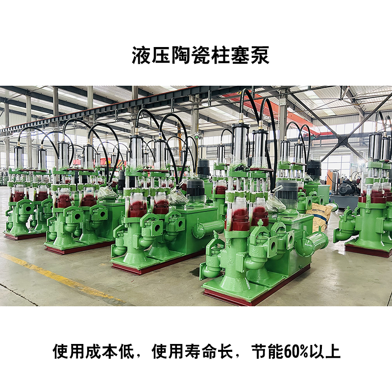 液壓驅(qū)動(dòng)污泥柱塞泵