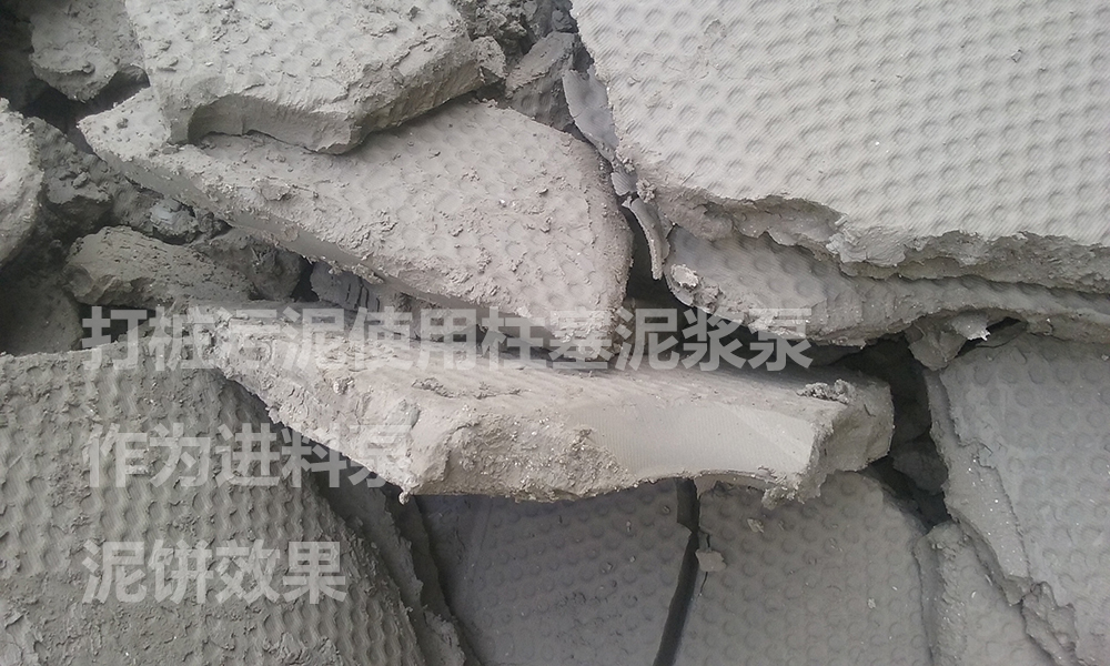 處理后的泥餅5 處理后的泥餅5