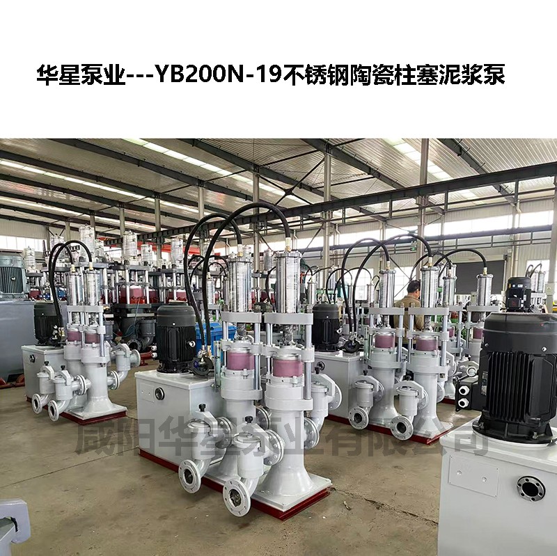YB200N-19不銹鋼陶瓷柱塞泥漿泵-17 YB200N-19不銹鋼陶瓷柱塞泥漿泵-17